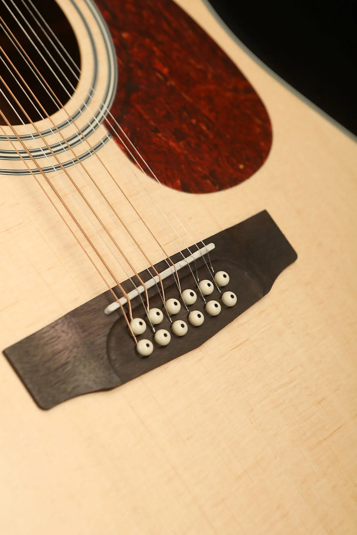 Cort Earth 70-12 12-String Acoustic Guitar