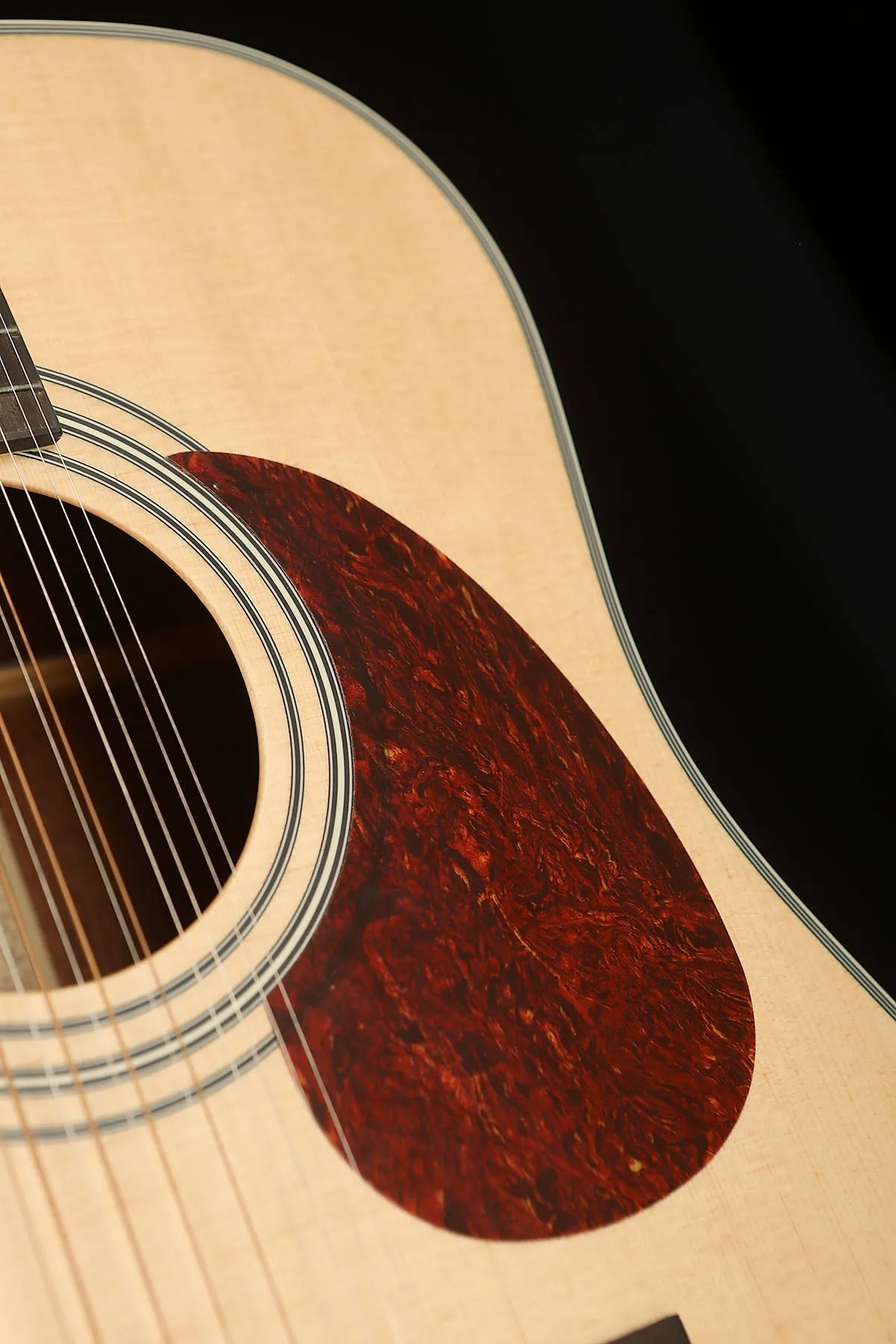 Cort Earth 70-12 12-String Acoustic Guitar
