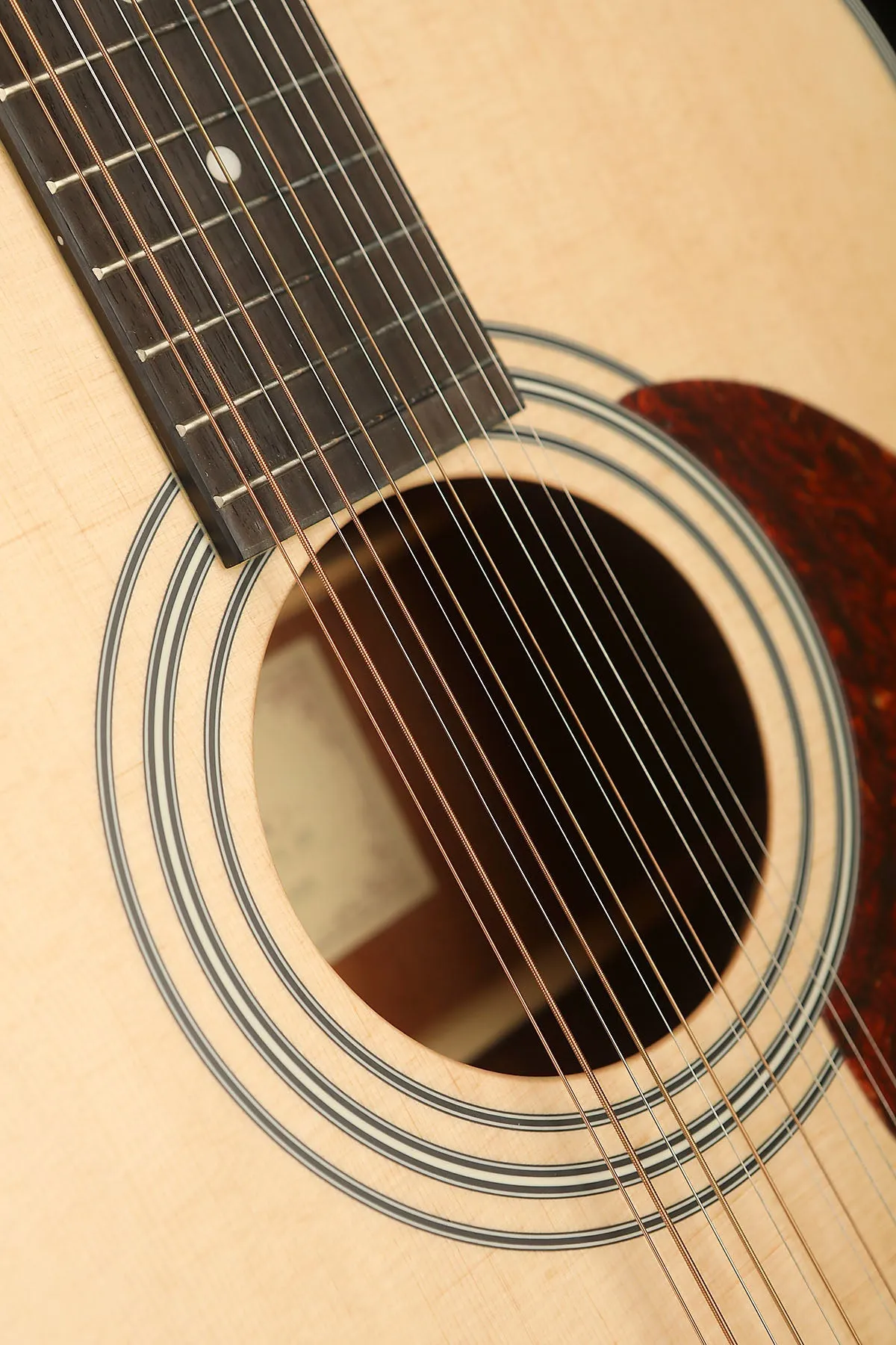 Cort Earth 70-12 12-String Acoustic Guitar