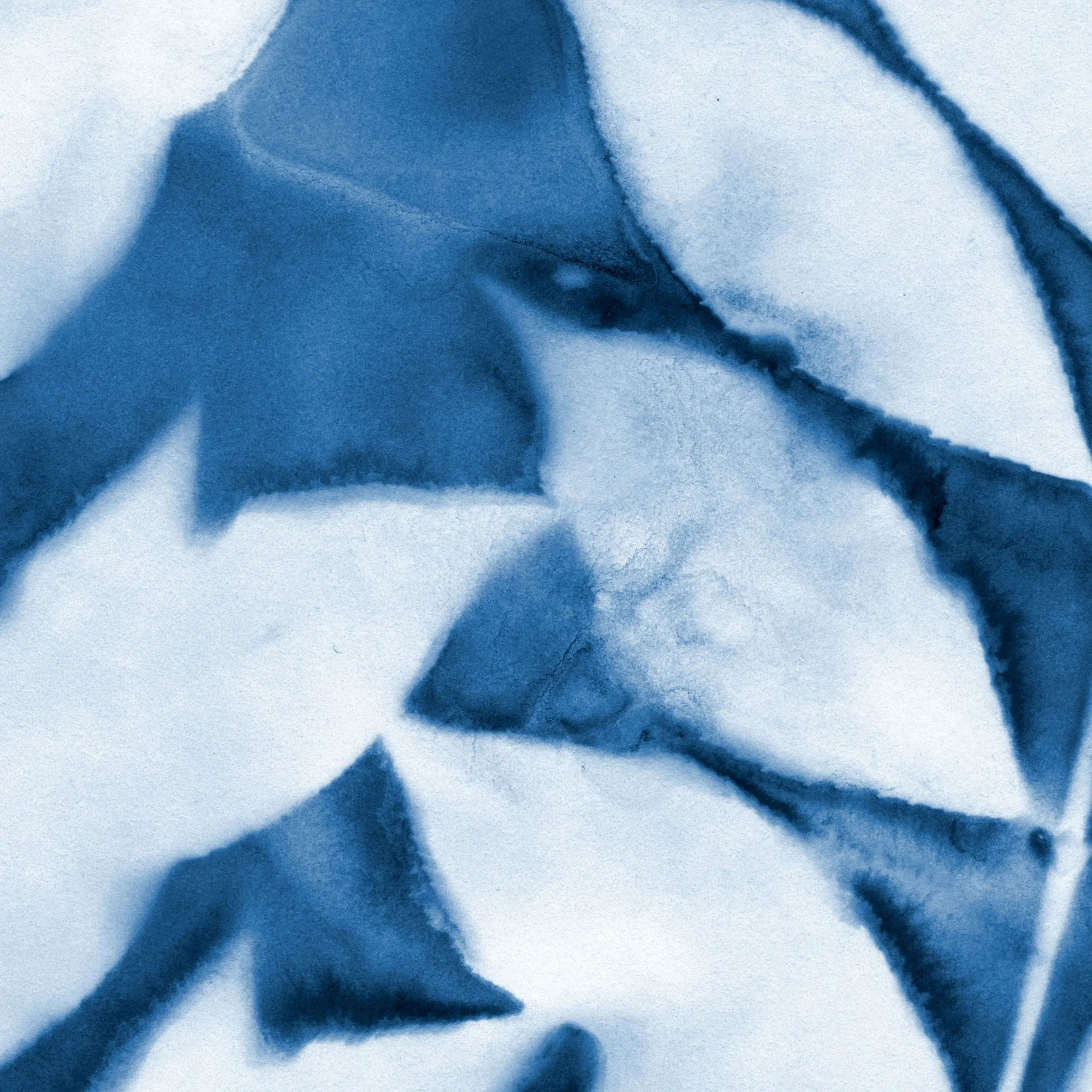 Leafy Branches Cyanotype