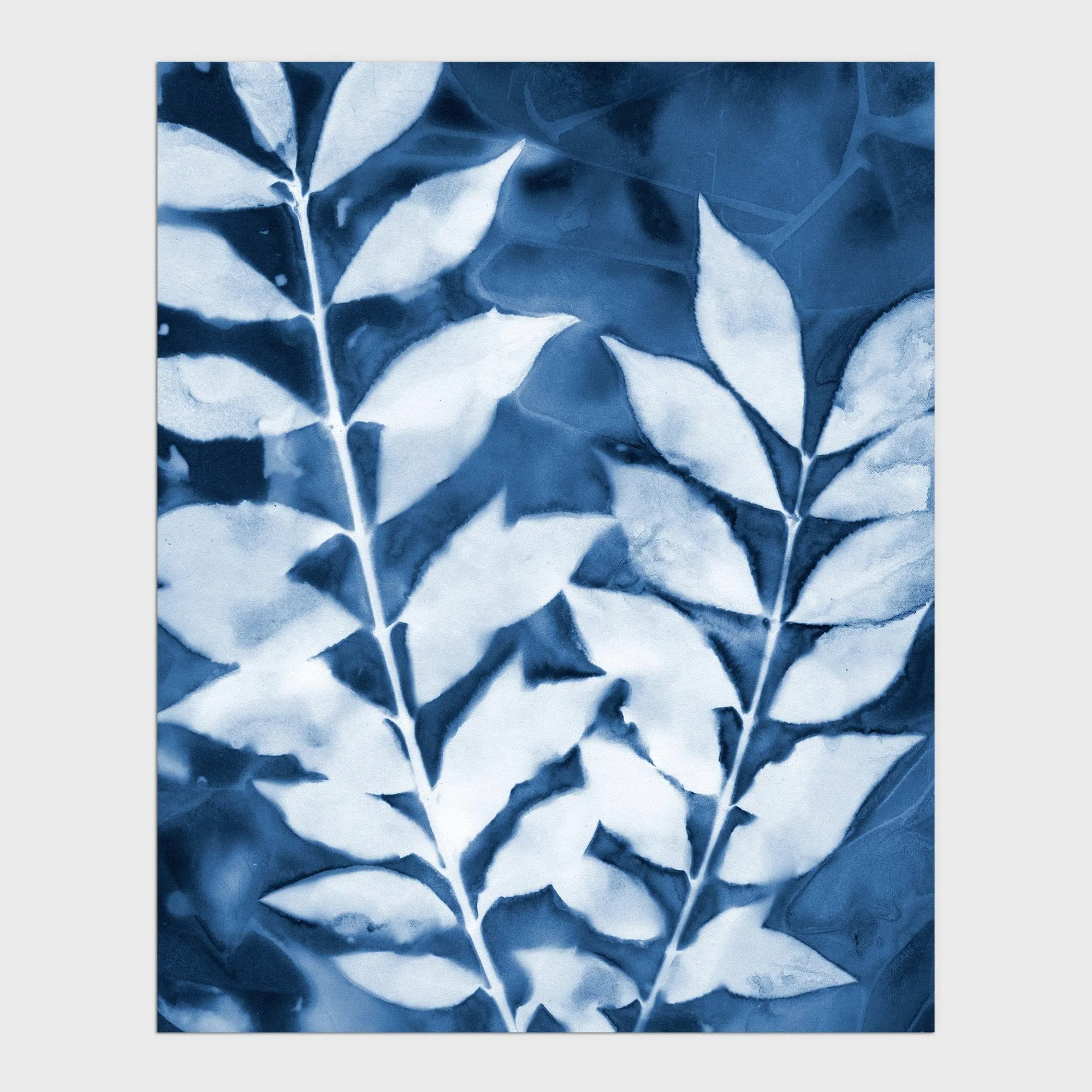 Leafy Branches Cyanotype