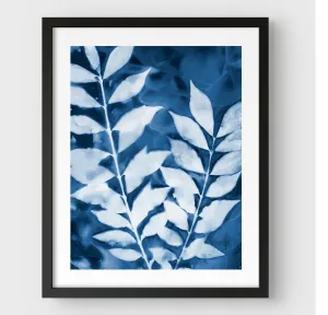 Leafy Branches Cyanotype