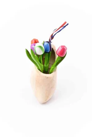 Wooden Shoe with Tulips